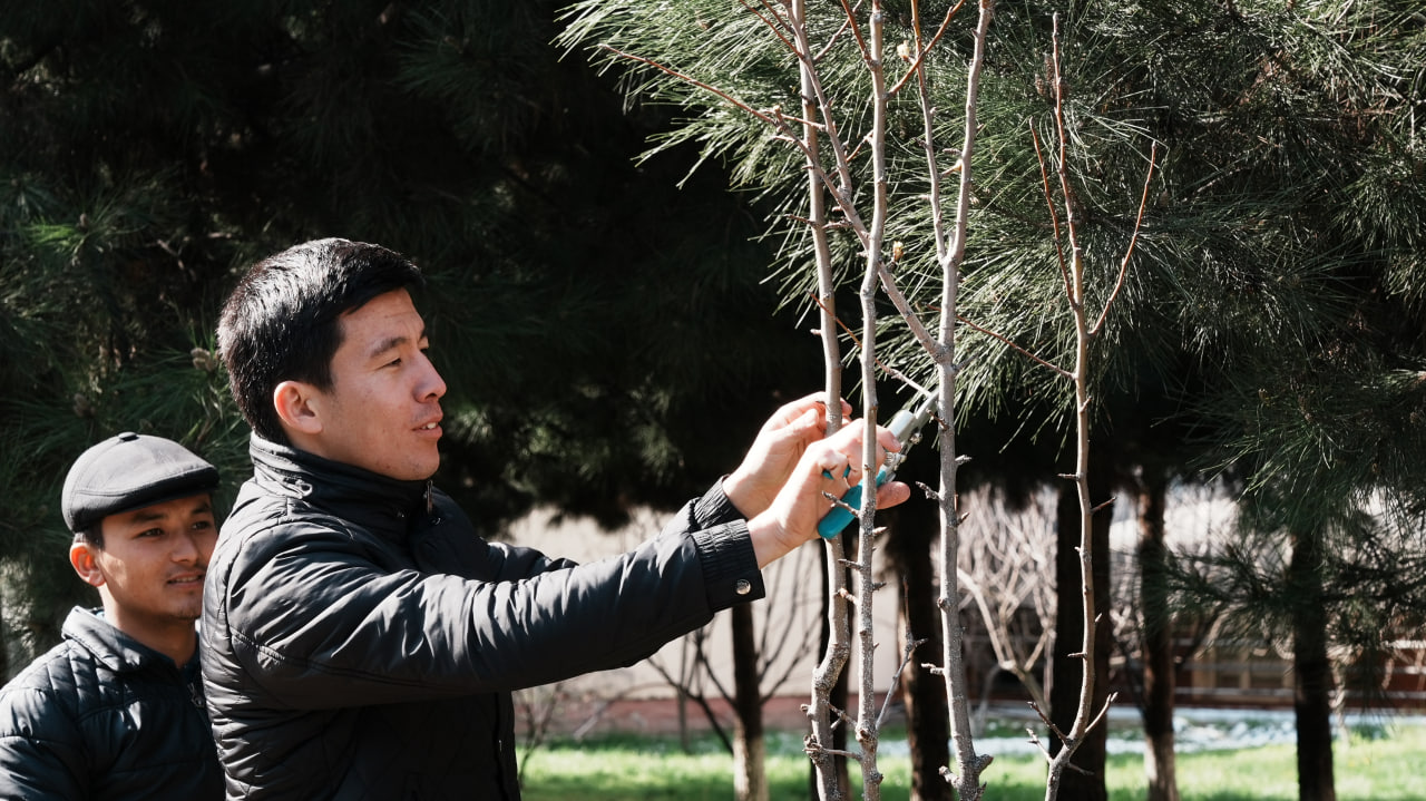 “YURT OBODLIGI, AVVALO, MAHALLADAN BOSHLANADI!”